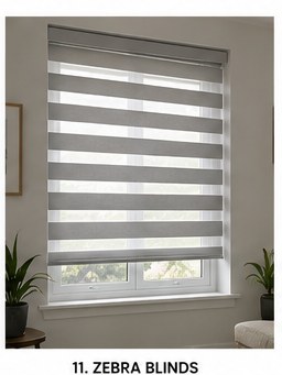 Zebra blinds style reference